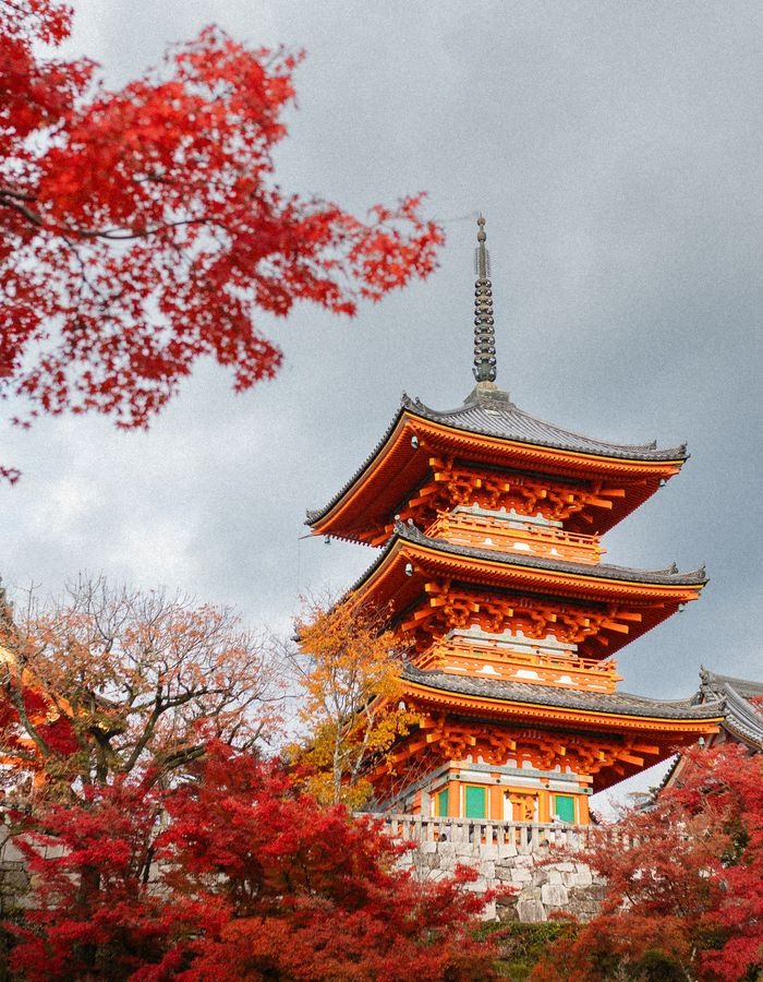 Templo tradicional japonés entre árboles de otoño en Kioto