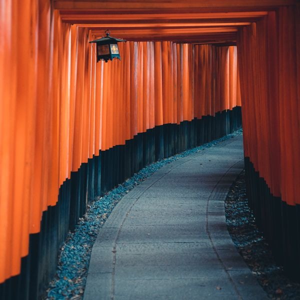 Túnel de torii naranjas en el santuario Fushimi Inari, Kioto